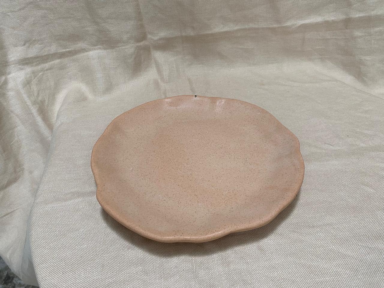 VAJILLA ORGANICA